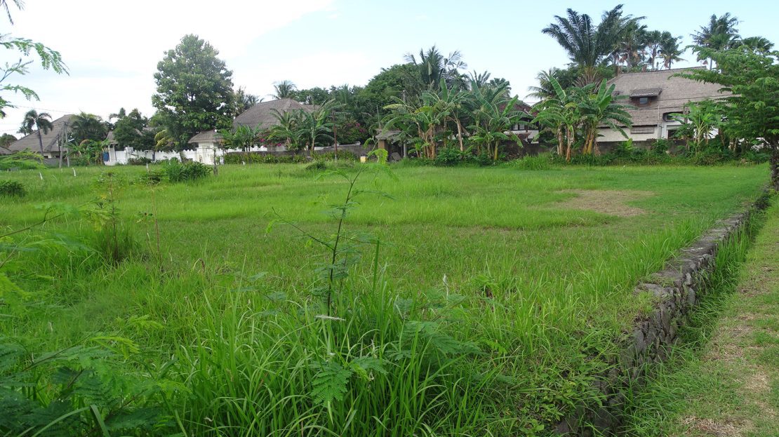 lovina land for sale