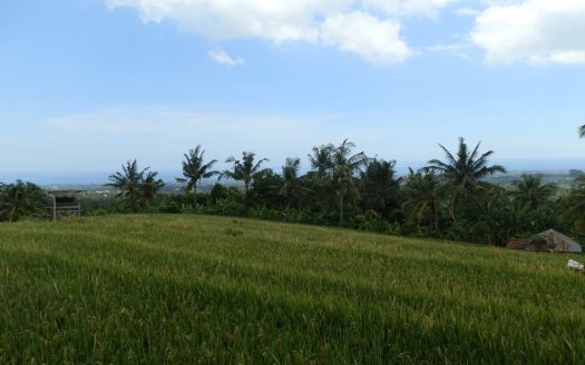 bali-land-for-sale-cheap