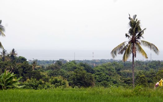 bali ocean view land