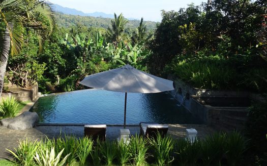 north bali villa with pool