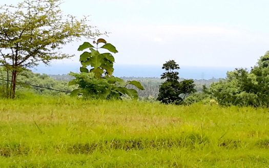 north bali sea view land for sale