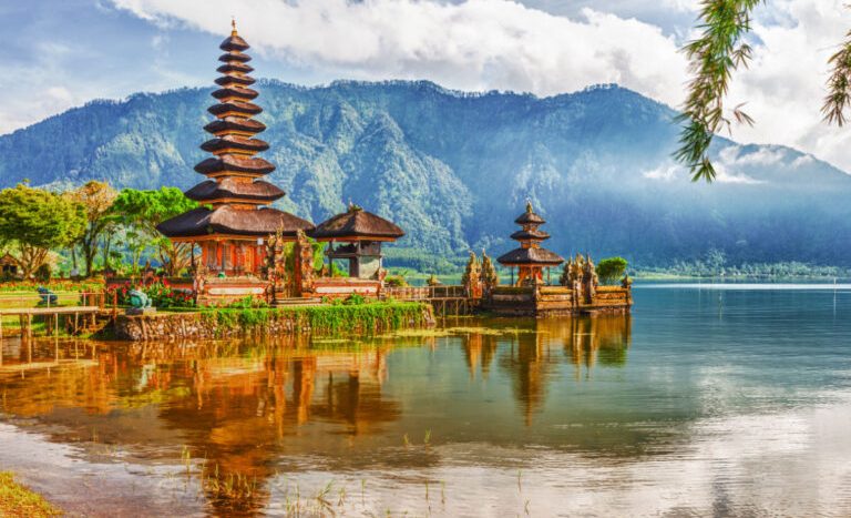 Bali Policy Update