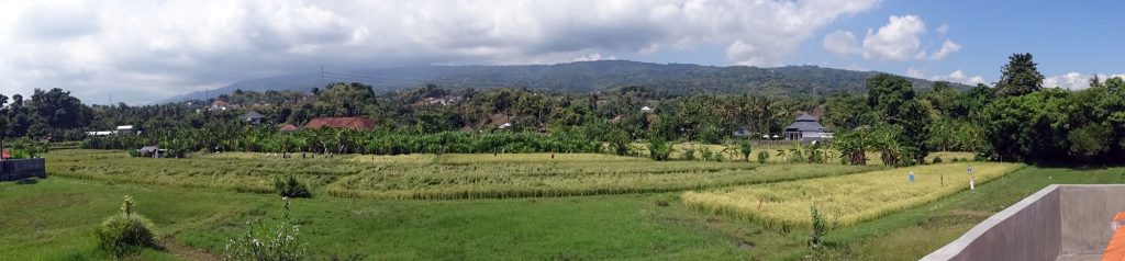 Lovina Villa sale freehold