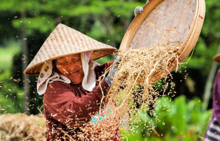 Bali Weather for June 2025