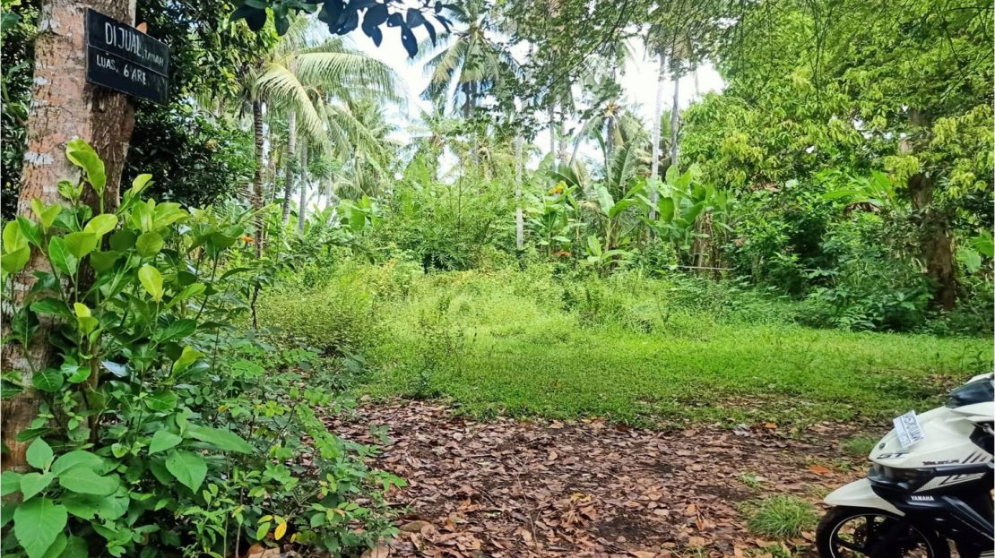 North Bali Lovina land for sale