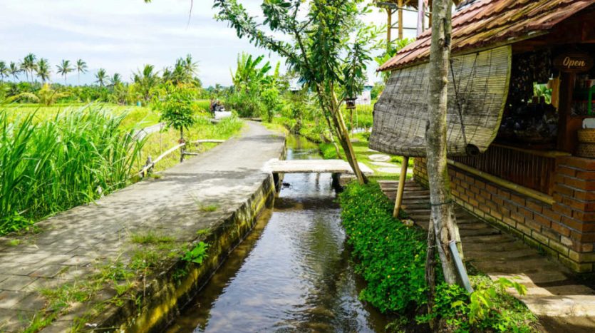 Bali Land Conversion Law