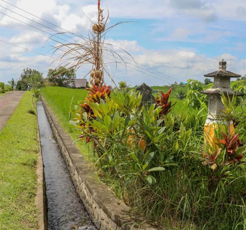 Bali Land Conversion Law Announced