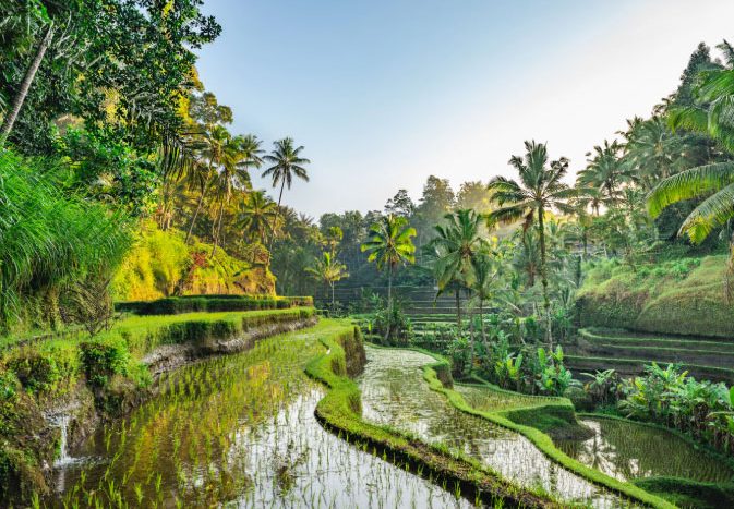Lovina Bali Tourism Natural Heritage