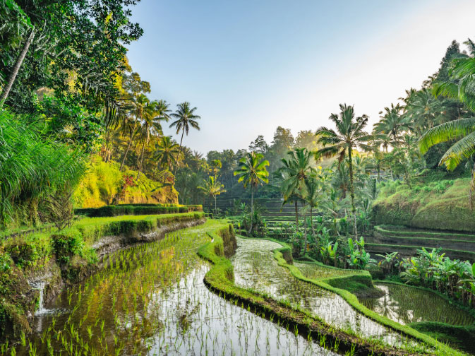Lovina Bali Tourism Natural Heritage