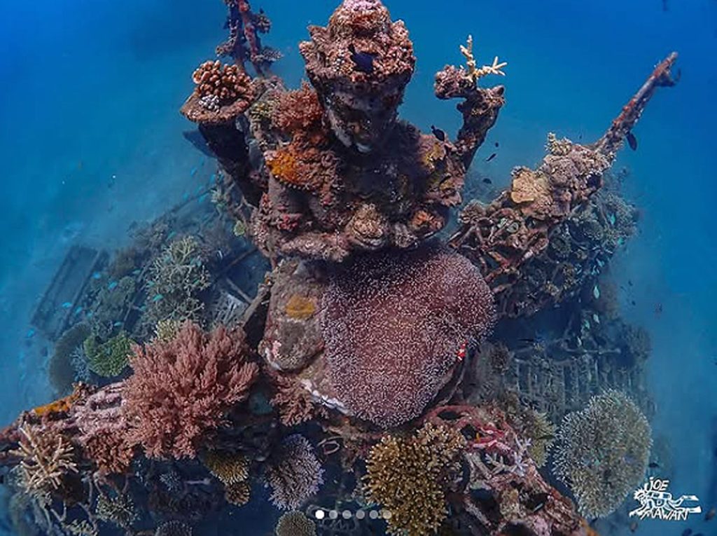 North Bali Marine Ecosysteme
