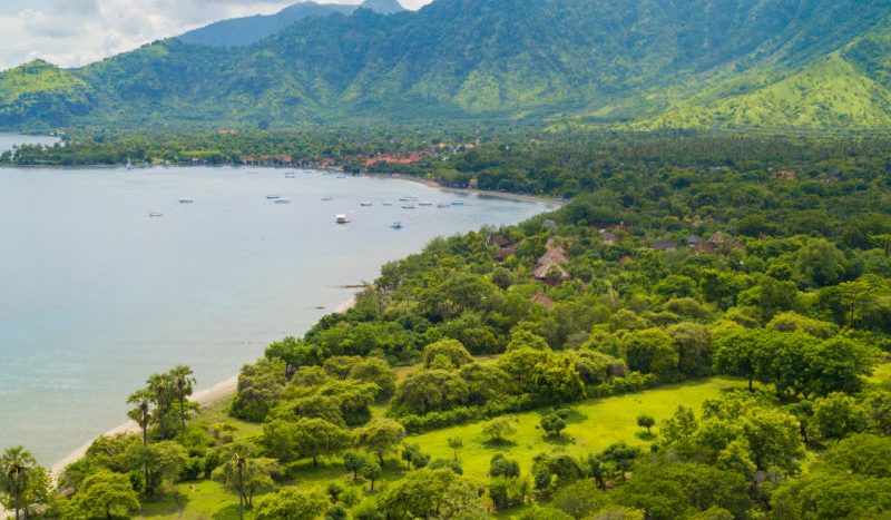 Lovina Bali Tourism Nature
