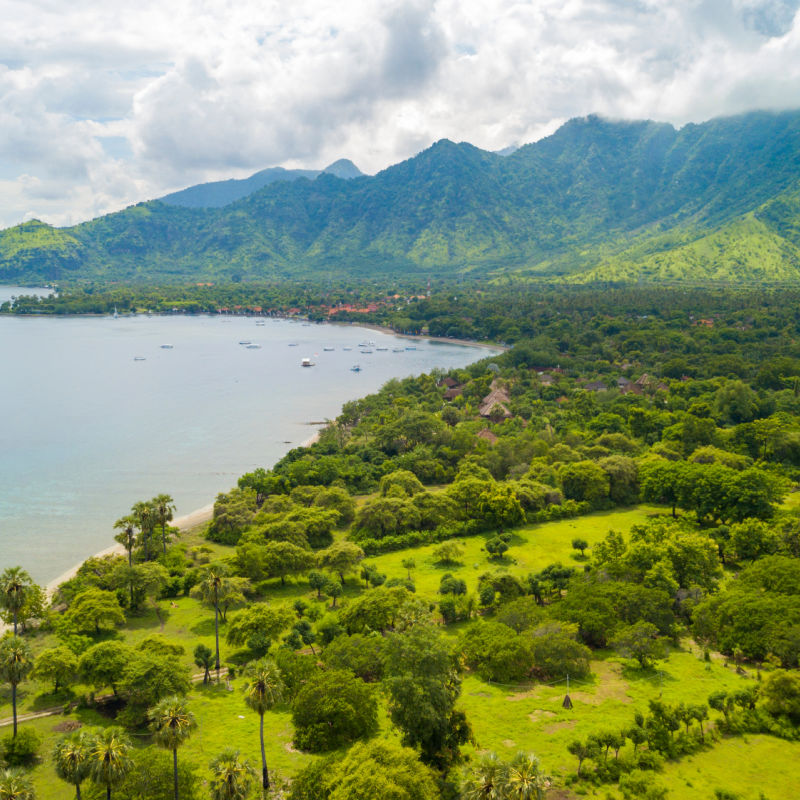Lovina Bali Tourism Nature