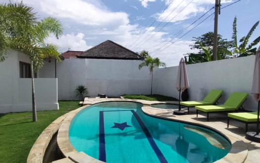 Lovina Villa with pool
