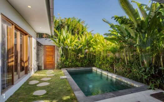 Lease Canggu Bali 2 bedroom Villa